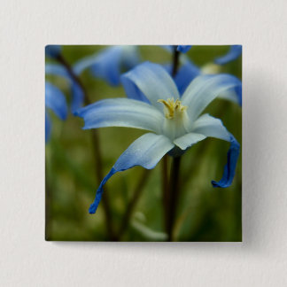 witherly 缶バッジ