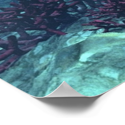 Within the Light ポスター (角)