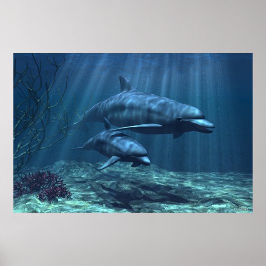 Within the Light ポスター (正面)