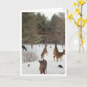 Witness to Nature美しい カード (黄色い花)