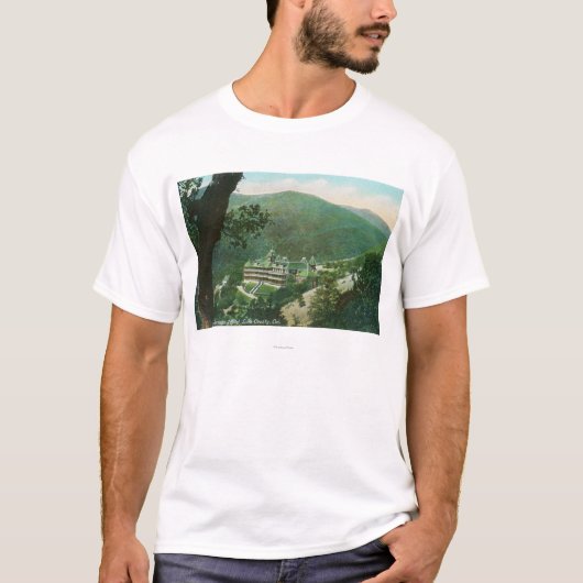 Witter外面の空中写真はホテルのはねます Tシャツ (正面)