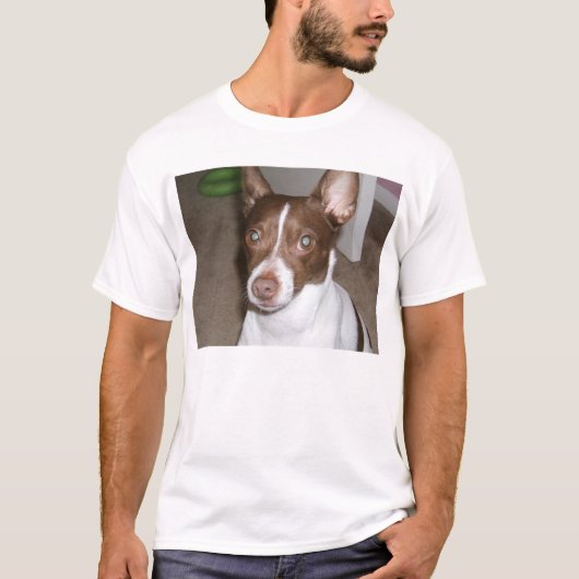 wiz 1 tシャツ (正面)