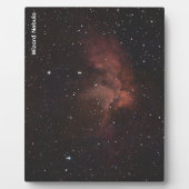Wizard Nebula フォトプラーク (正面)