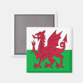 WLS001 FLAG WELSH WALES,冷蔵庫 マグネット (正面/裏面)