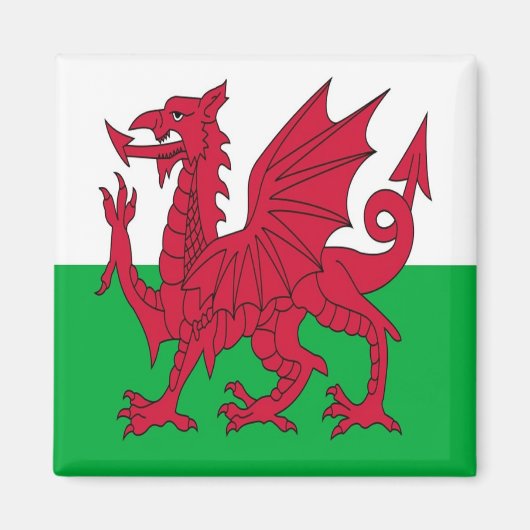 WLS001 FLAG WELSH WALES,冷蔵庫 マグネット (正面)