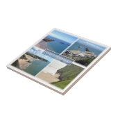 WLS004 GOWER Peninsula Mumbles, Wales, タイル (側面)