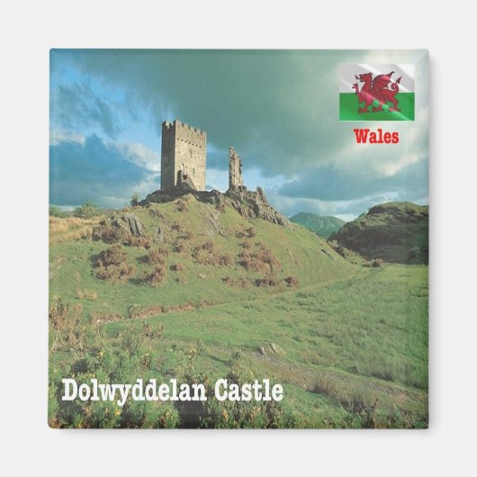 WLS015 DOLWYDDELAN CASTLE, Wales,ヨーロッパ,冷蔵庫 マグネット (正面)