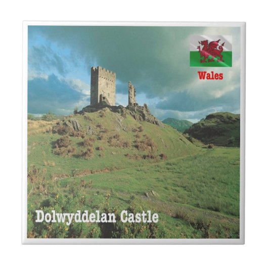 WLS015 DOLWYDDELAN CASTLE, Wales, Europe, タイル (正面)
