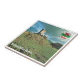 WLS015 DOLWYDDELAN CASTLE, Wales, Europe, タイル (側面)