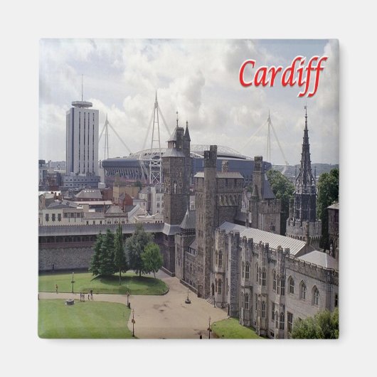 WLS016 CARDIFF、ウェールズ、ヨーロッパ、冷蔵庫 マグネット (正面)