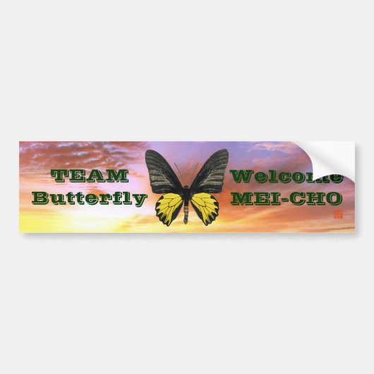 WM キシタアゲハ Team Butterfly バンパーステッカー (正面)