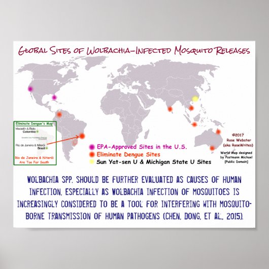 Wolbachia and Human Infection by RoseWrites ポスター (正面)