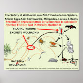Wolbachia-Infected Mosquito Risks by RoseWrites ポスター (正面)