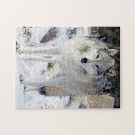 Wolfパズル11インチx 14インチ252ピースとギフトボックス ジグソーパズル (横)