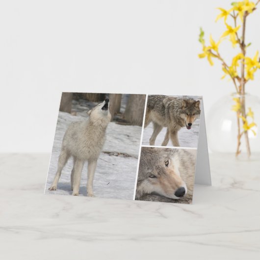 Wolf – グリーティングカー空白のド – カスタマイズ カード (黄色い花)