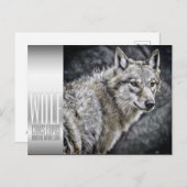Wolf ポストカード (正面/裏面)