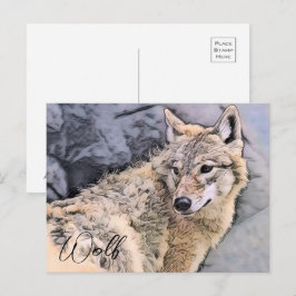 Wolf ポストカード