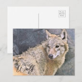 Wolf ポストカード (正面/裏面)