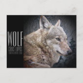 Wolf ポストカード (正面)