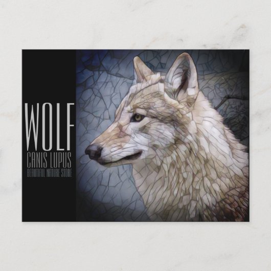 Wolf ポストカード (正面)