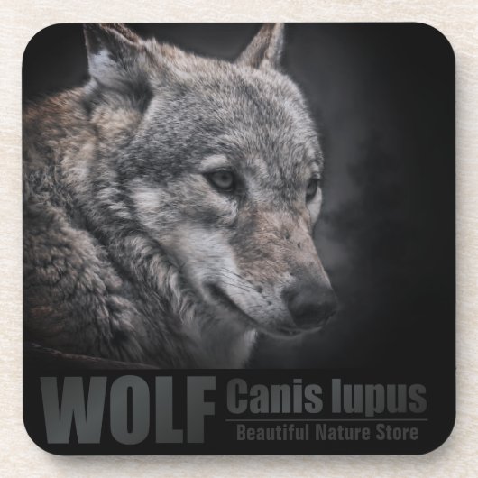 WOLF [懸命プラスチックコースター] コースター (正面)