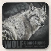 WOLF:懸命プラスチックコースター コースター (正面)