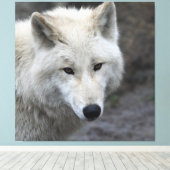 Wolf_015 キャンバスプリント (インサイチュ (ウッドフロア))