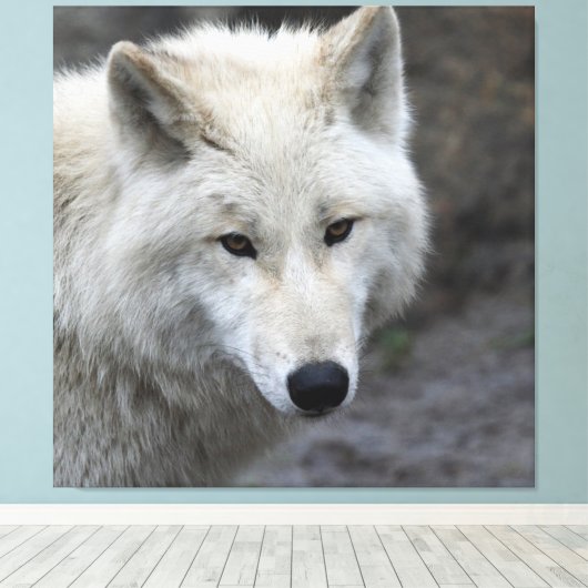 Wolf_015 キャンバスプリント (インサイチュ (ウッドフロア))