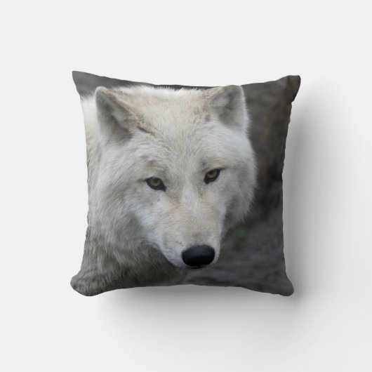 Wolf_015 クッション (正面)