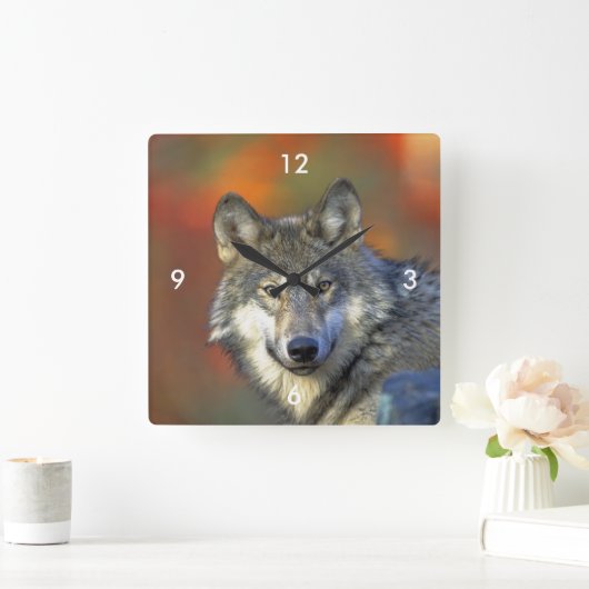 Wolf_2015_0302 スクエア壁時計 (ホーム)