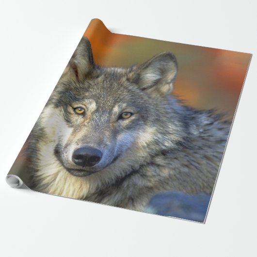 Wolf_2015_0302 ラッピングペーパー (アンロールド)