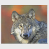 Wolf_2015_0302 ラッピングペーパー (フラット)