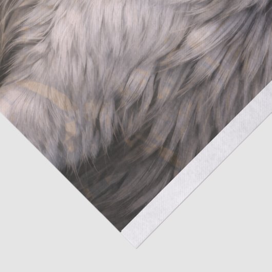 Wolf 2 薄葉紙 (詳細)