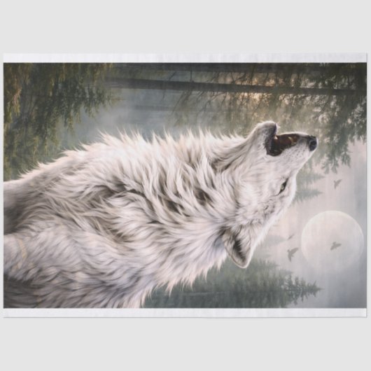 Wolf 2 薄葉紙 (正面)