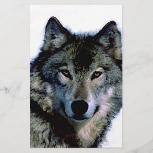 Wolf 5.5x8.5インチフライヤー チラシ