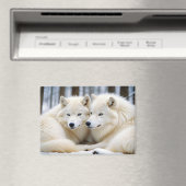 Wolf Animal Nature Wildlife Affection Caring マグネット (インサイチュ (食洗機))