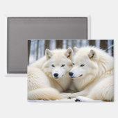 Wolf Animal Nature Wildlife Affection Caring マグネット (正面/裏面)