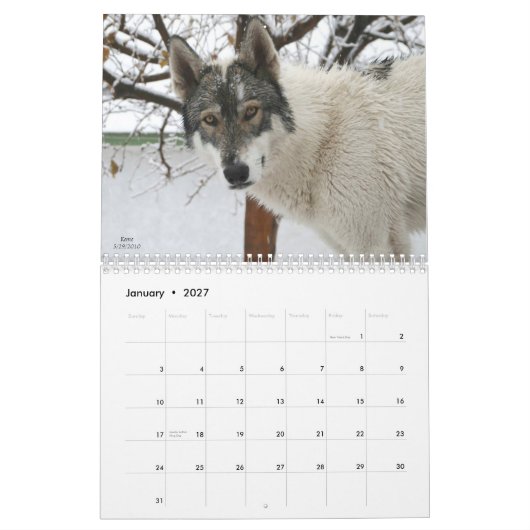 Wolf Calendar カレンダー (1月 2027)