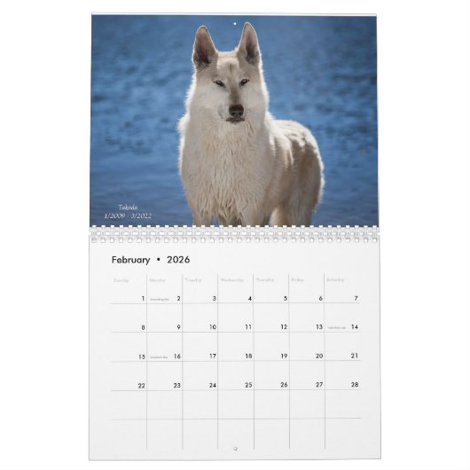 Wolf Calendar カレンダー (2月 2026)