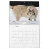 Wolf Calendar カレンダー (3月 2027)