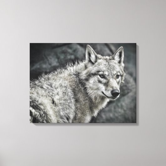 WOLF：Canvas Print キャンバスプリント (正面)