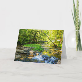 Wolf Creek Card カード