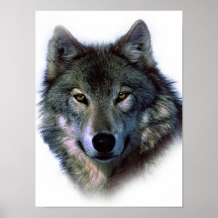 Wolf Eyesユニークアートワーク自由ポスター ポスター
