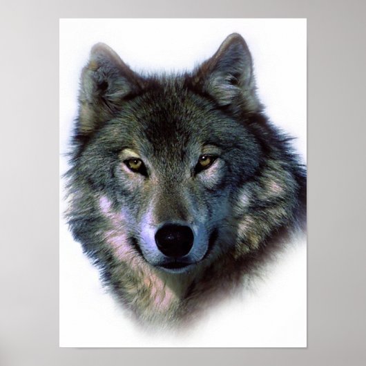 Wolf Eyesユニークアートワーク自由ポスター ポスター (正面)