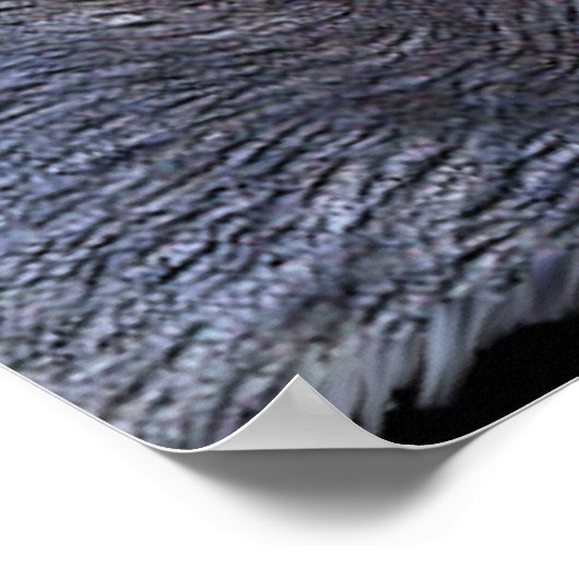 WOLF EYES Wildlife Art Poster ポスター (角)