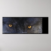 WOLF EYES Wildlife Art Poster ポスター (正面)