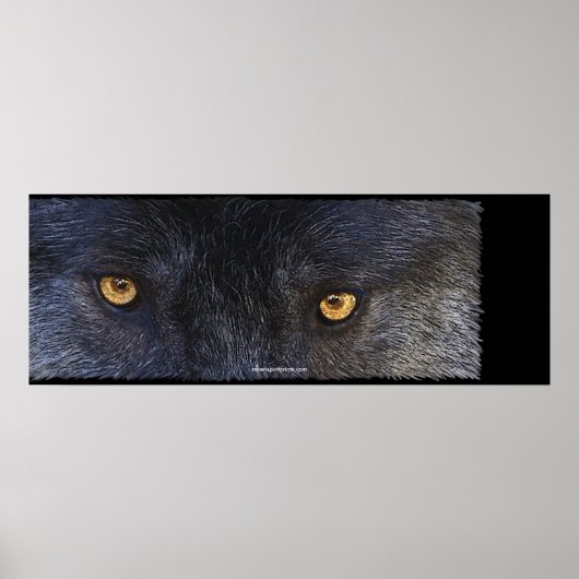 WOLF EYES Wildlife Art Poster ポスター (正面)