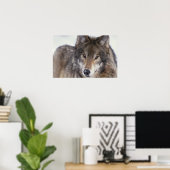 Wolf Gaze Poster ポスター (ホームオフィス)