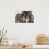 Wolf Gaze Poster ポスター (キッチン)