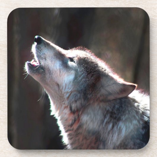 Wolf Howling Lone Wolf コースター (正面)
